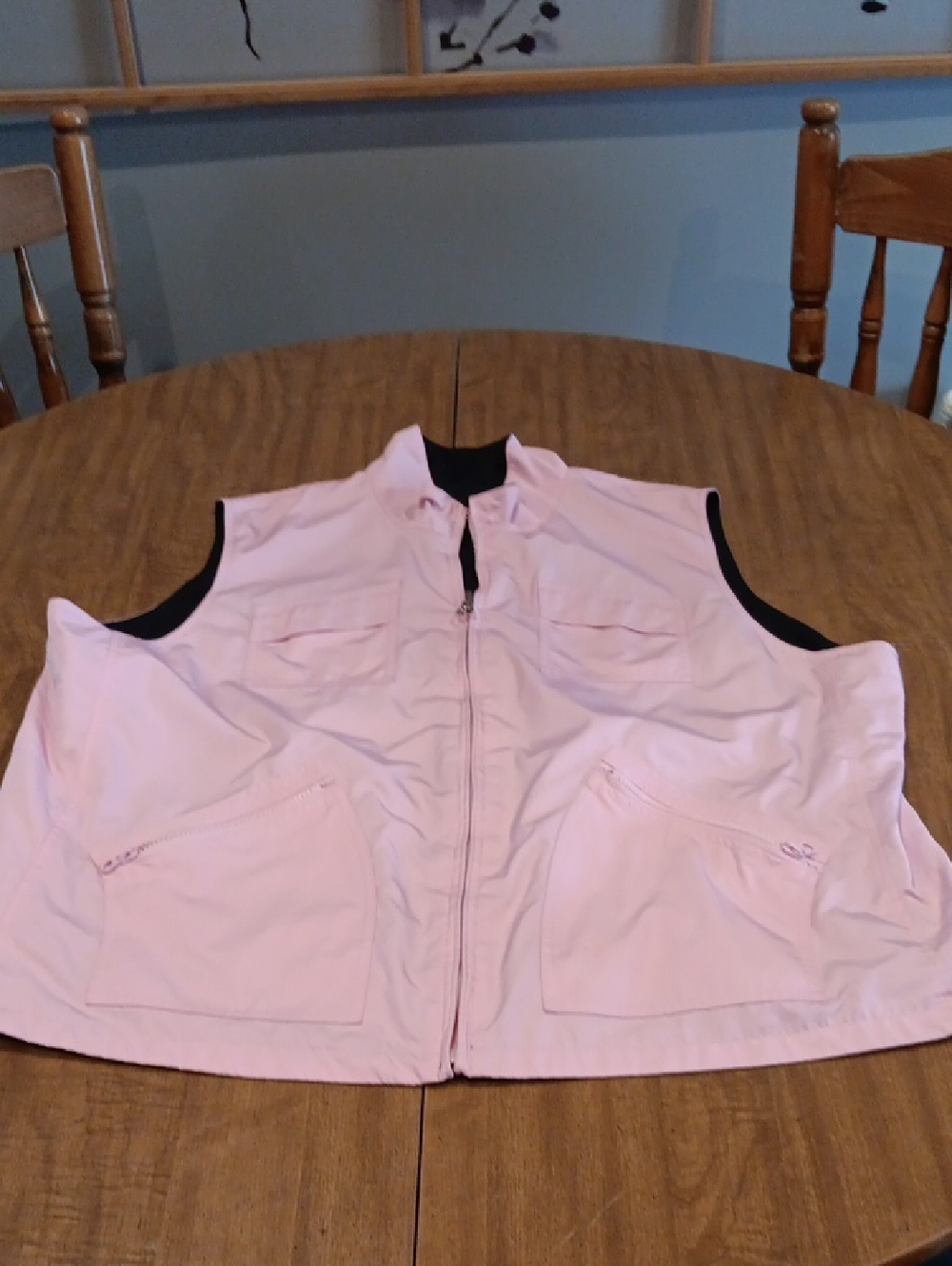 Light Pink Sleeveless Zip Front Vest
